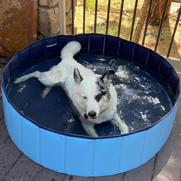 Meet your Posher, Jennifer - Picture 15 of 16